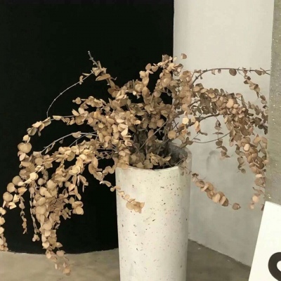 Furry绘画配色指南FurryQQ群